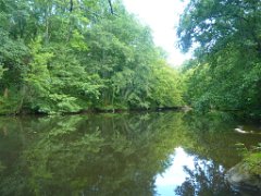 Promenade La Glane (13)
